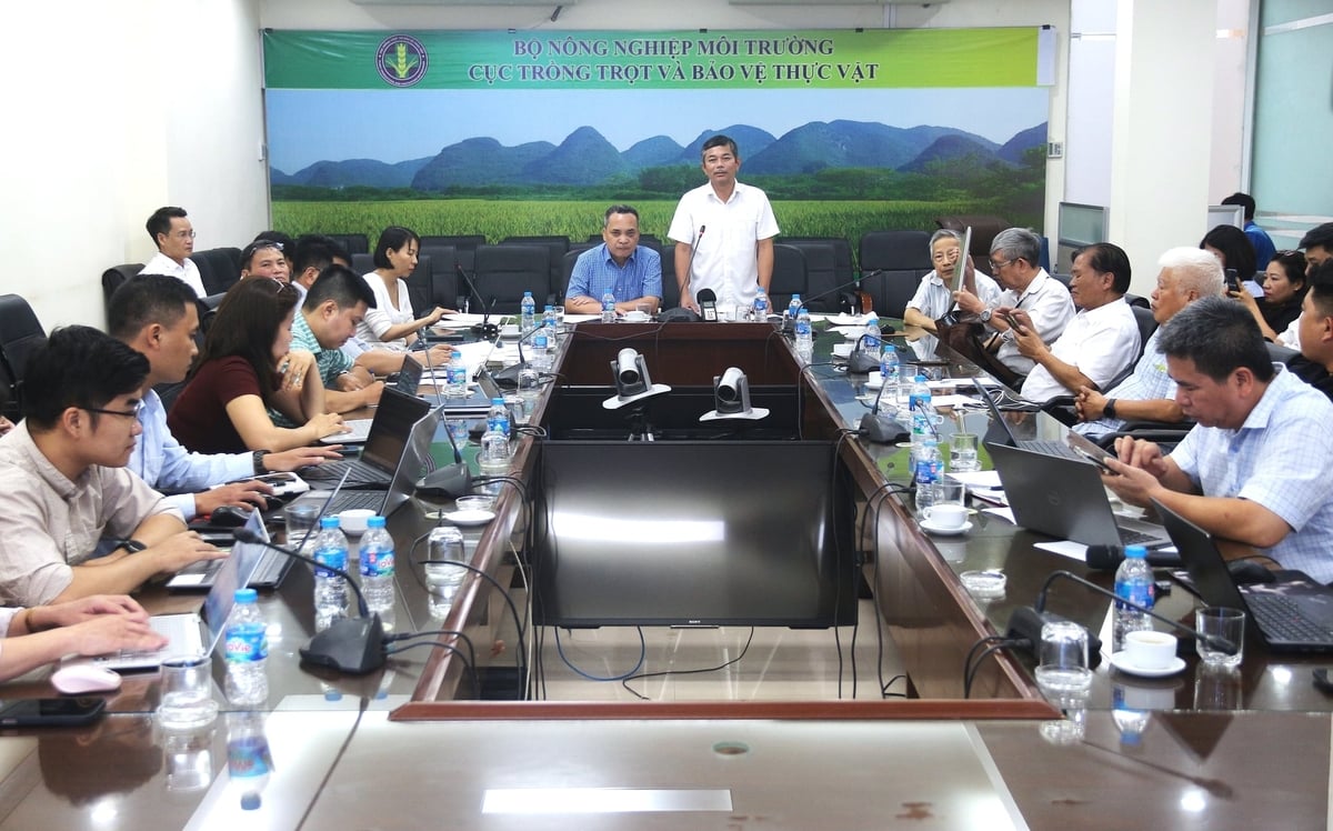 Hội nghị triển khai các nghị quyết của Chính phủ và thông tư của Bộ trưởng Bộ Nông nghiệp và Môi trường về phân cấp, phân quyền, cắt giảm điều kiện kinh doanh và đơn giản hóa thủ tục hành chính trong lĩnh vực trồng trọt, bảo vệ và kiểm dịch thực vật do Cục Trồng trọt và Bảo vệ thực vật phối hợp với Báo Nông nghiệp và Môi trường tổ chức chiều 8/6. Ảnh: Trung Hiếu.