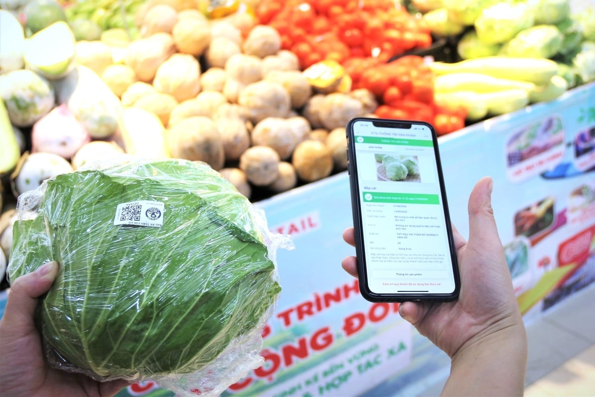 Nếu được ban hành và áp dụng hiệu quả, tiêu chuẩn mới sẽ góp phần chuẩn hóa sản xuất rau theo hướng an toàn, minh bạch và bền vững hơn. Ảnh: Trung Hiếu. Nếu được ban hành và áp dụng hiệu quả, tiêu chuẩn mới sẽ góp phần chuẩn hóa sản xuất rau theo hướng an toàn, minh bạch và bền vững hơn. Ảnh: Trung Hiếu.