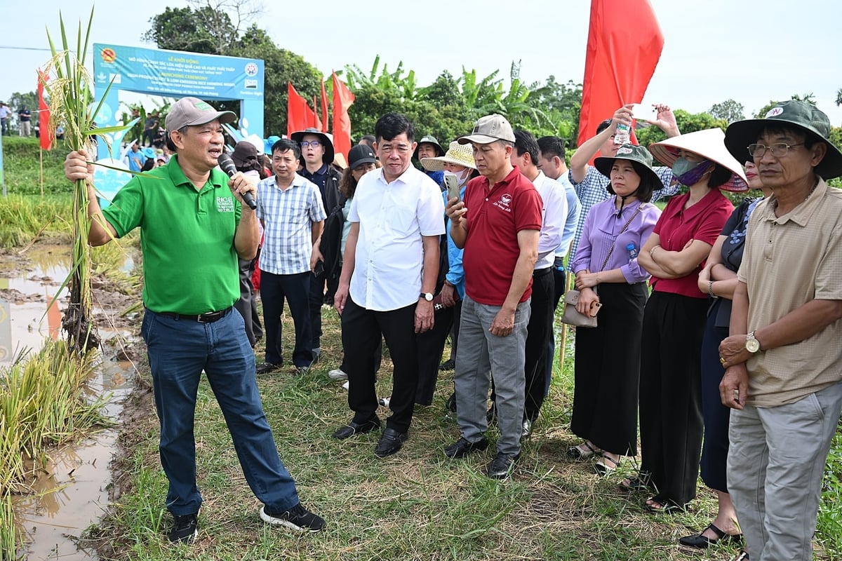 PGS.TS Nguyễn Văn Hùng (áo xanh) - chuyên gia cao cấp của IRRI chia sẻ những lợi ích của phương thức canh tác mới với người dân. Ảnh: Bảo Thắng. PGS.TS Nguyễn Văn Hùng (áo xanh) - chuyên gia cao cấp của IRRI chia sẻ những lợi ích của phương thức canh tác mới với người dân. Ảnh: Bảo Thắng.