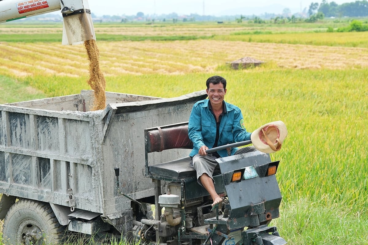 Niềm vui của người dân khi thu hoạch lúa. Ảnh: Bảo Thắng. Niềm vui của người dân khi thu hoạch lúa. Ảnh: Bảo Thắng.