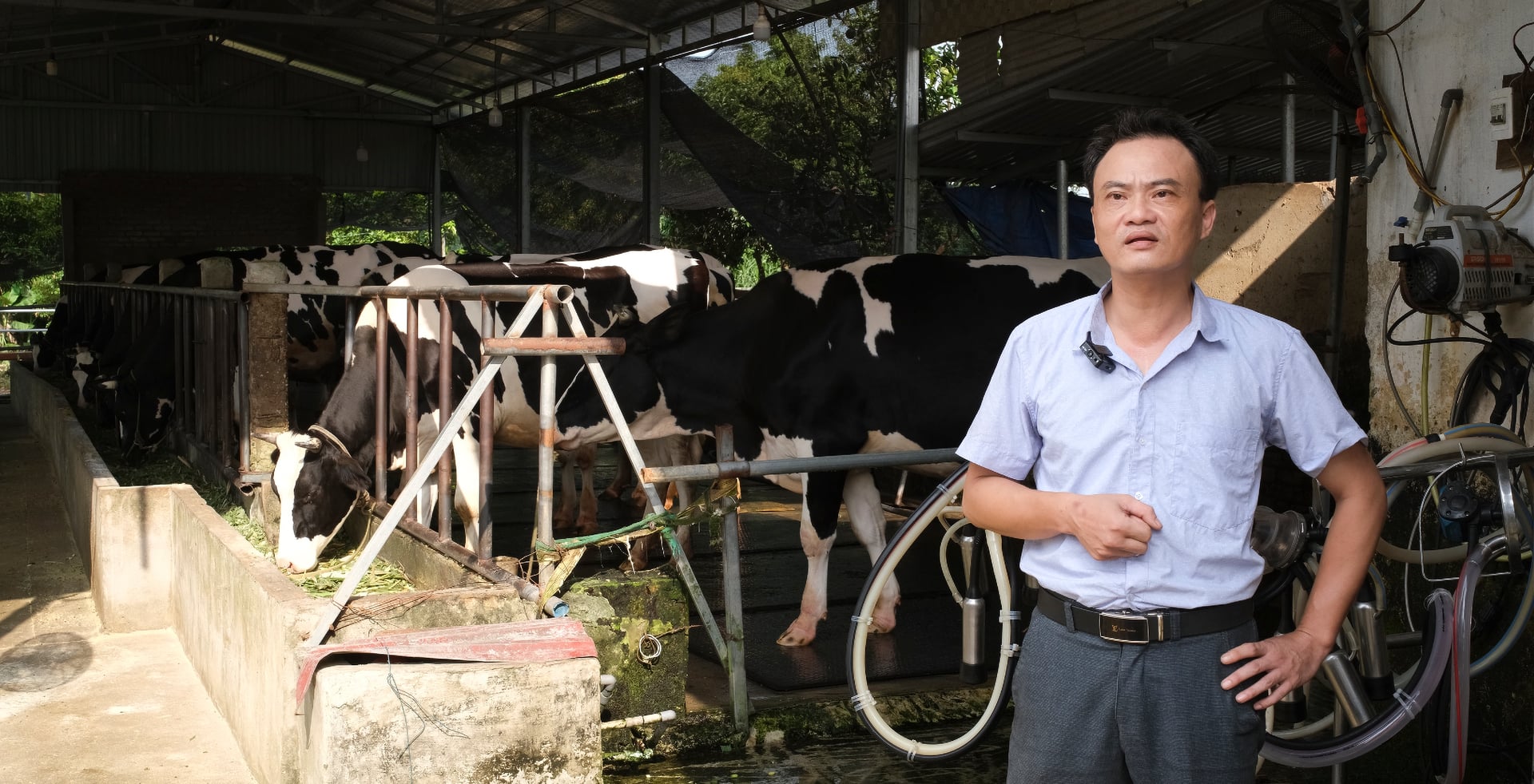 Ông Nguyễn Tiến Thịnh chia sẻ về những áp lực của người nuôi bò sữa trước thời tiết cực đoan. Ảnh: Phi Yến.