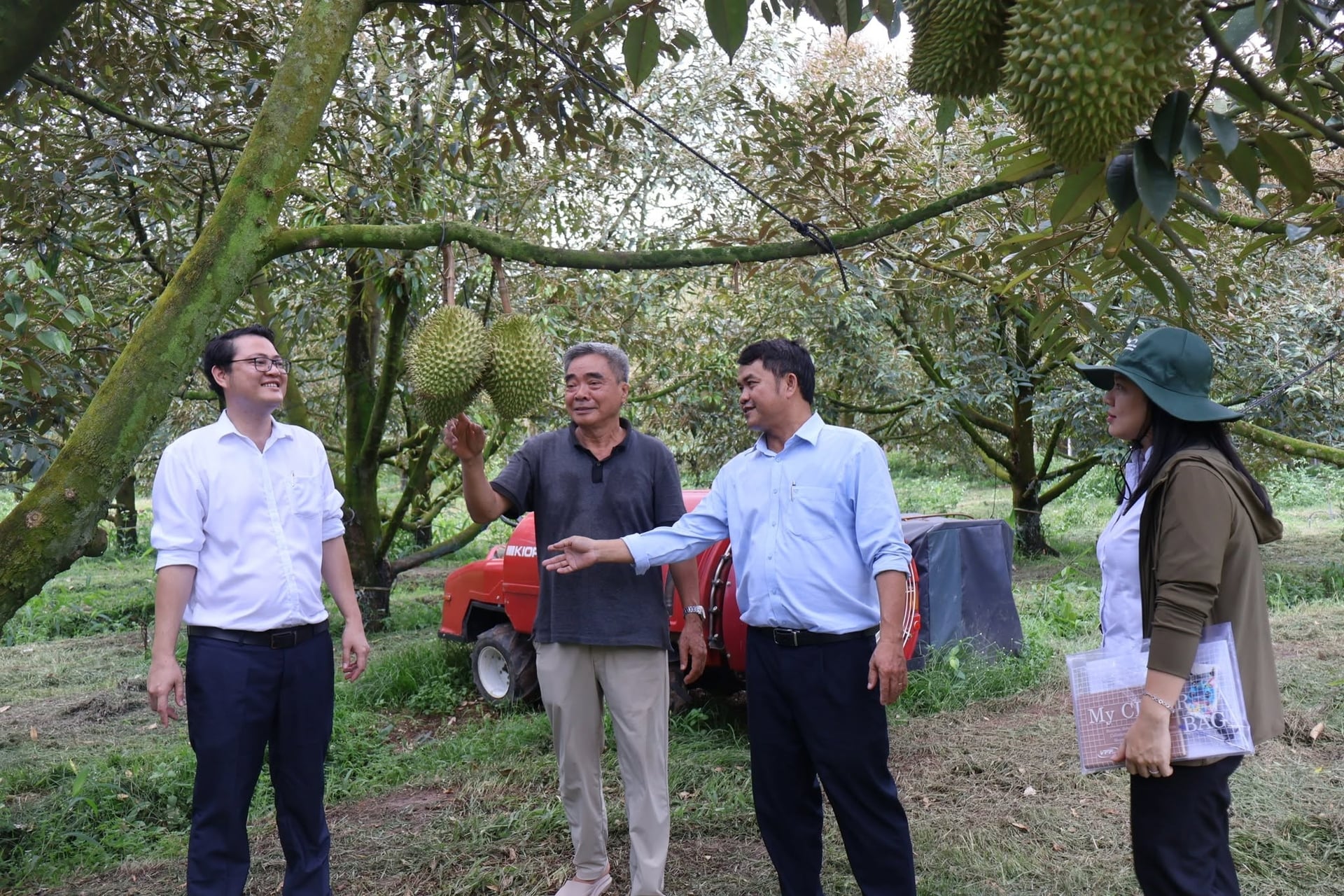 Đoàn công tác khảo sát tình hình dịch hại trên cây trồng và chọn địa triển khai mô hình nông nghiệp hữu cơ trên cây sầu riêng tại xã Phước Hòa. Ảnh: Hoài Phương. Đoàn công tác khảo sát tình hình dịch hại trên cây trồng và chọn địa triển khai mô hình nông nghiệp hữu cơ trên cây sầu riêng tại xã Phước Hòa. Ảnh: Hoài Phương.