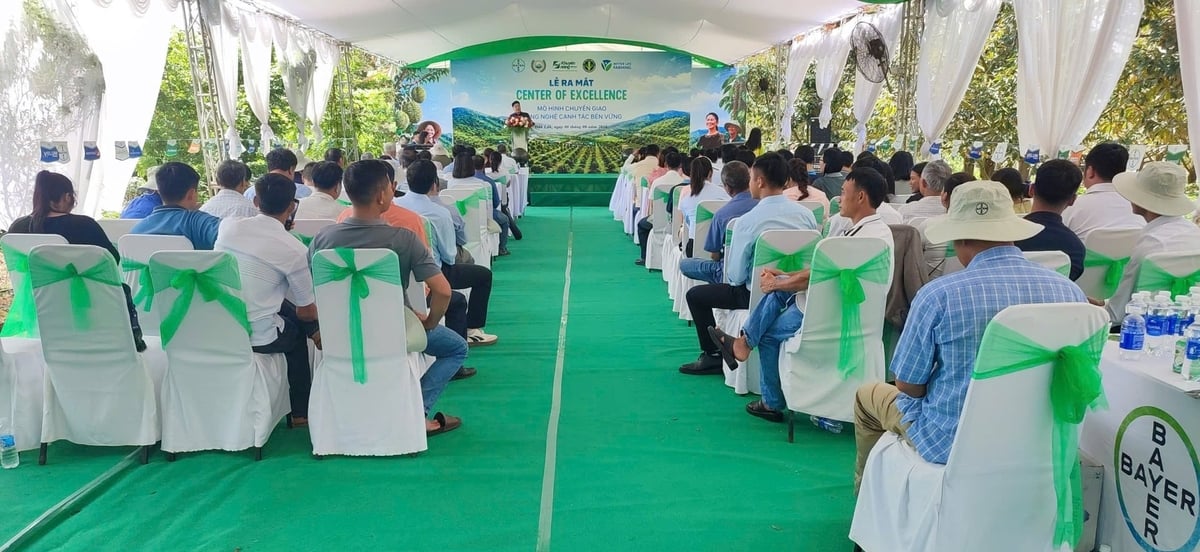 Toàn cảnh lễ ra mắt. Ảnh: Tuấn Trần.