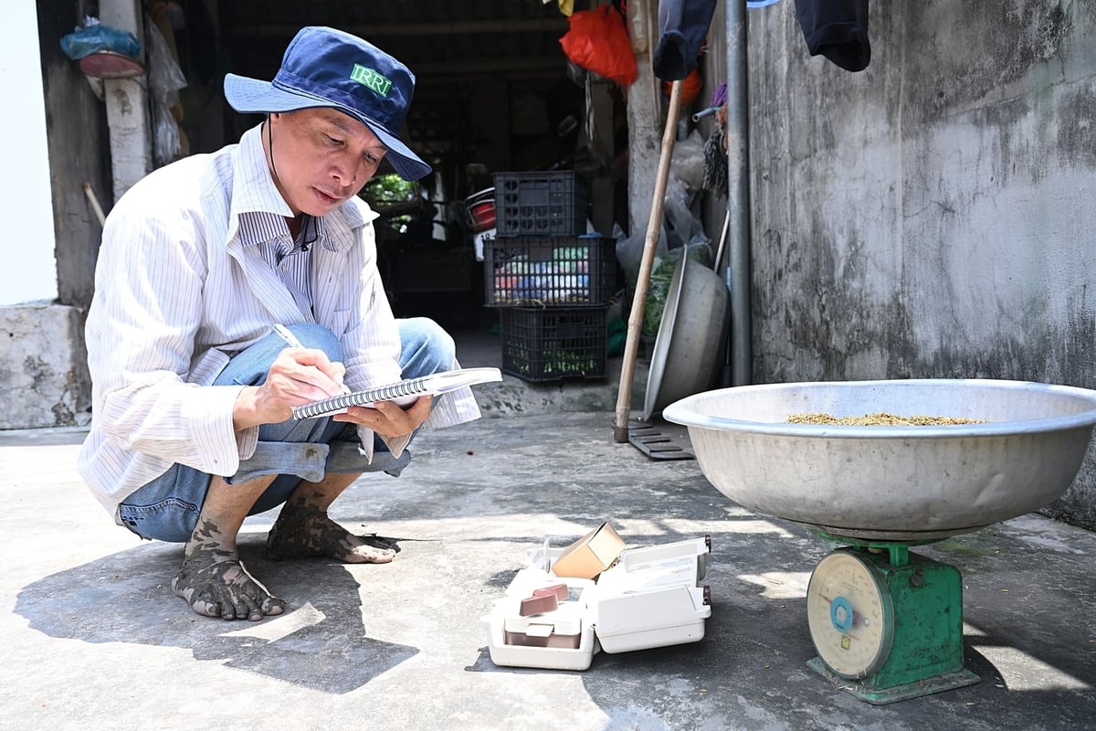 Anh Ngô Đức Thể cẩn thận ghi chép để tính toán năng suất lúa trong mô hình giảm phát thải. Ảnh: Bảo Thắng.