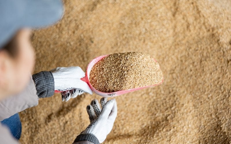 Theo các doanh nghiệp, giá nhiều loại nguyên liệu chủ lực như bột cá, dầu cá, đậu tương, lúa mì và các phụ gia dinh dưỡng liên tục neo ở mức cao. Ảnh: Shutterstock. Theo các doanh nghiệp, giá nhiều loại nguyên liệu chủ lực như bột cá, dầu cá, đậu tương, lúa mì và các phụ gia dinh dưỡng liên tục neo ở mức cao. Ảnh: Shutterstock.