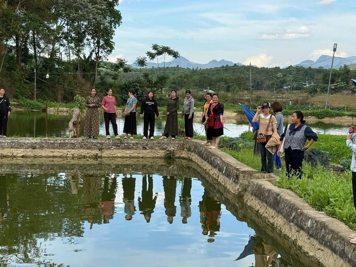 Hội viên Chi hội Nông dân nghề nghiệp 'Nuôi cá thương phẩm' bản Đun tham quan, trao đổi kinh nghiệm tại mô hình nuôi cá thương phẩm trên địa bàn. Ảnh: Thái Dương.
