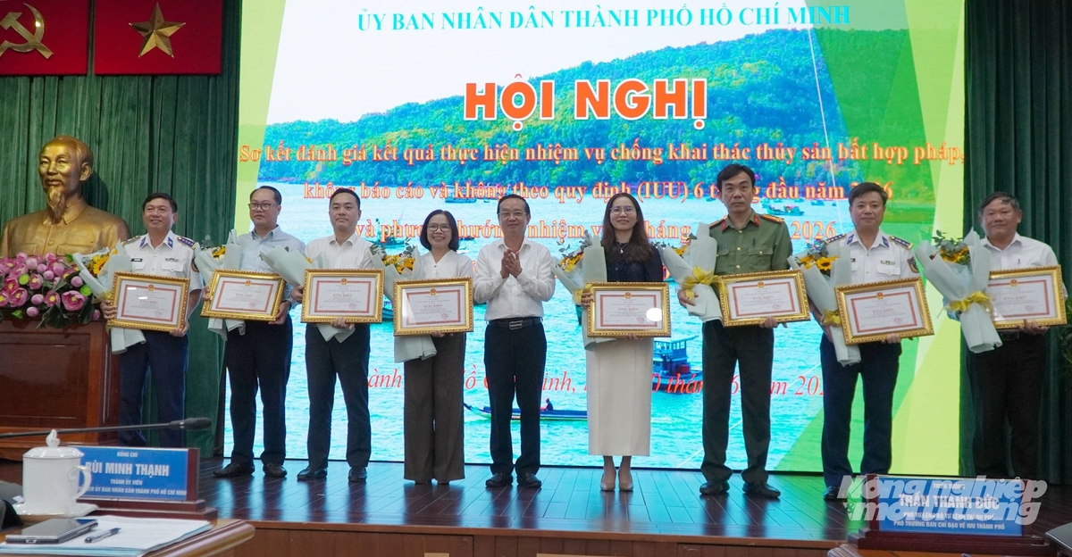 Dịp này, thành phố khen thưởng các tổ chức, cá nhân có thành tích tiêu biểu trong thực hiện nhiệm vụ chống khai thác IUU 6 tháng đầu năm 2026. Ảnh: Lê Bình. Dịp này, thành phố khen thưởng các tổ chức, cá nhân có thành tích tiêu biểu trong thực hiện nhiệm vụ chống khai thác IUU 6 tháng đầu năm 2026. Ảnh: Lê Bình.