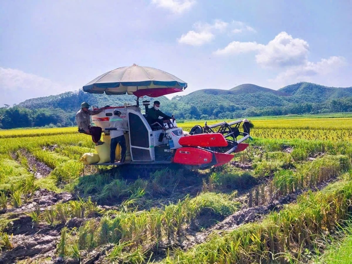 Phong trào cơ giới hóa đang được khuyến khích mở rộng trong phát triển nông nghiệp ở xã Quang Bình, tỉnh Tuyên Quang. Ảnh: Đào Thanh.