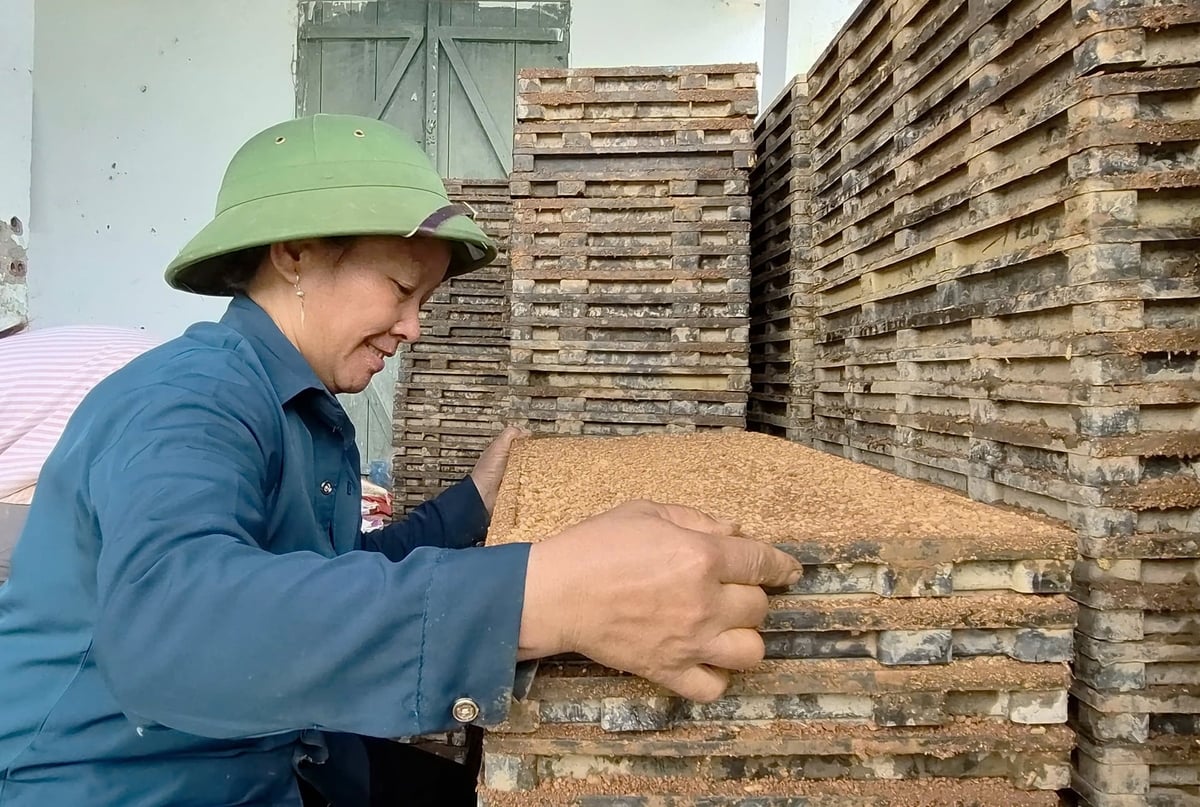 Nông dân xã Quang Bình hào hứng tham gia mô hình gieo mạ khay chuẩn bị cho vụ mùa năm 2026. Ảnh: Đào Thanh.