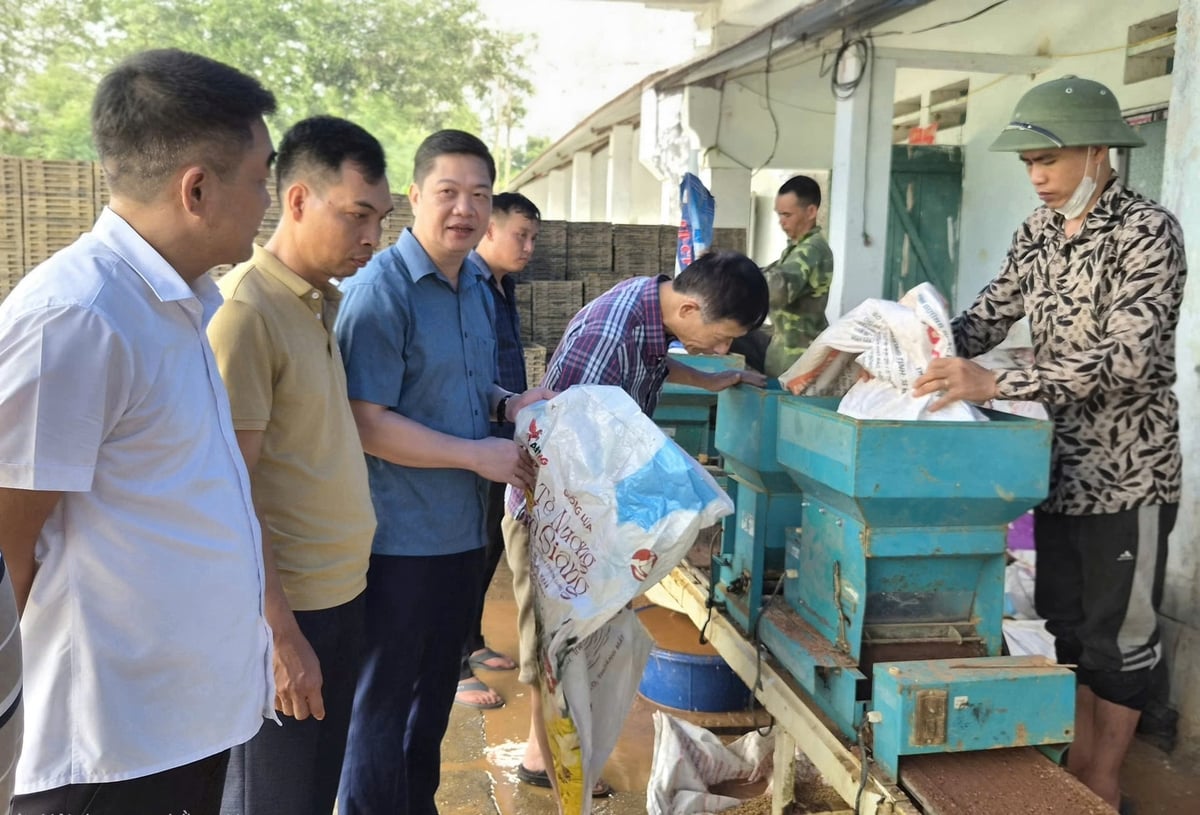 Các đại biểu tham quan mô hình làm mạ khay tại thôn Tân An. Ảnh: Đào Thanh.