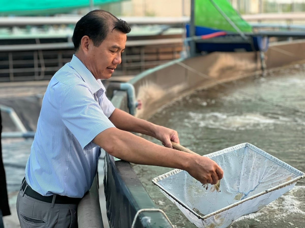 Anh Long Văn Nghĩa chia sẻ nghề nuôi tôm hiện nay theo kiểu 'lấy tiền cũ đổi tiền mới'. Ảnh: Trọng Linh.