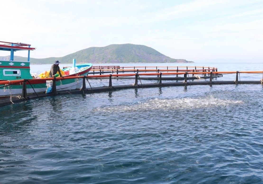 Tỉnh Khánh Hòa đang hỗ trợ ngư dân chuyển đổi lồng bè bằng vật liệu mới thân thiện, thích ứng biến đổi khí hậu. Ảnh: KS.