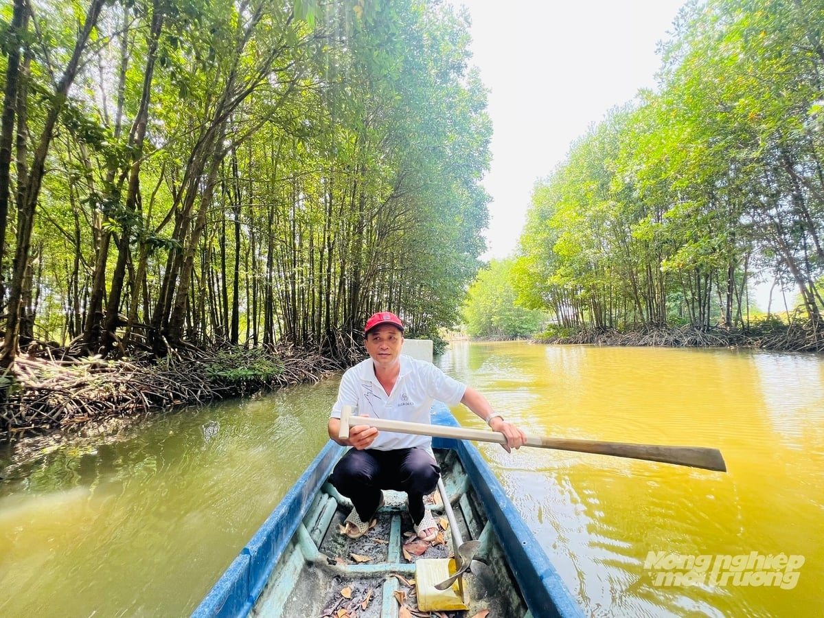 Mô hình tôm - rừng tại Cà Mau được đánh giá cao về giá trị phát triển bền vững. Ảnh: Trọng Linh.