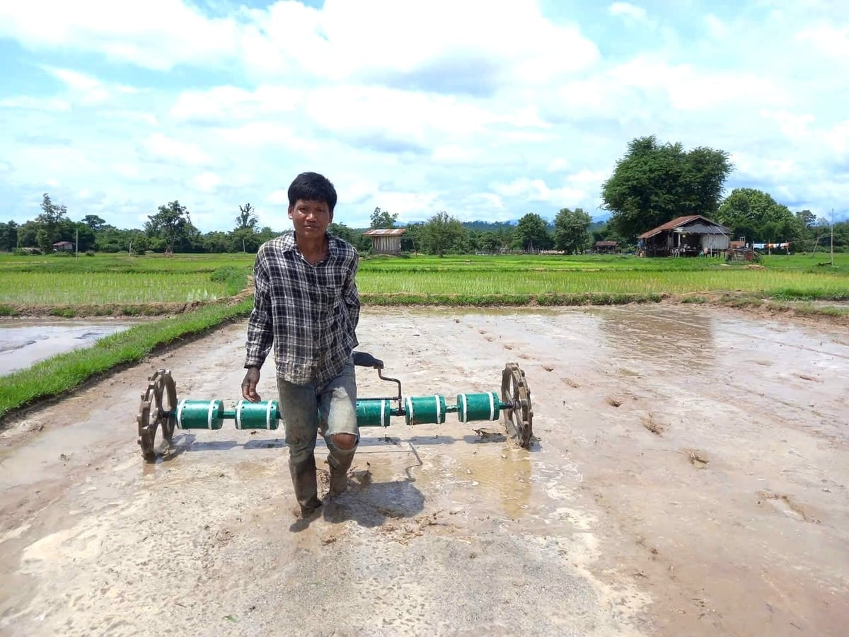 Nông dân Lào thay đổi phương pháp canh tác cây lúa nước. Ảnh: V.Đ.T.