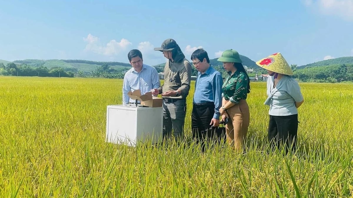 Đoàn kiểm tra làm việc tại điểm trồng lúa J02 xã Đường Hoa. Ảnh: Nguyễn Thành.