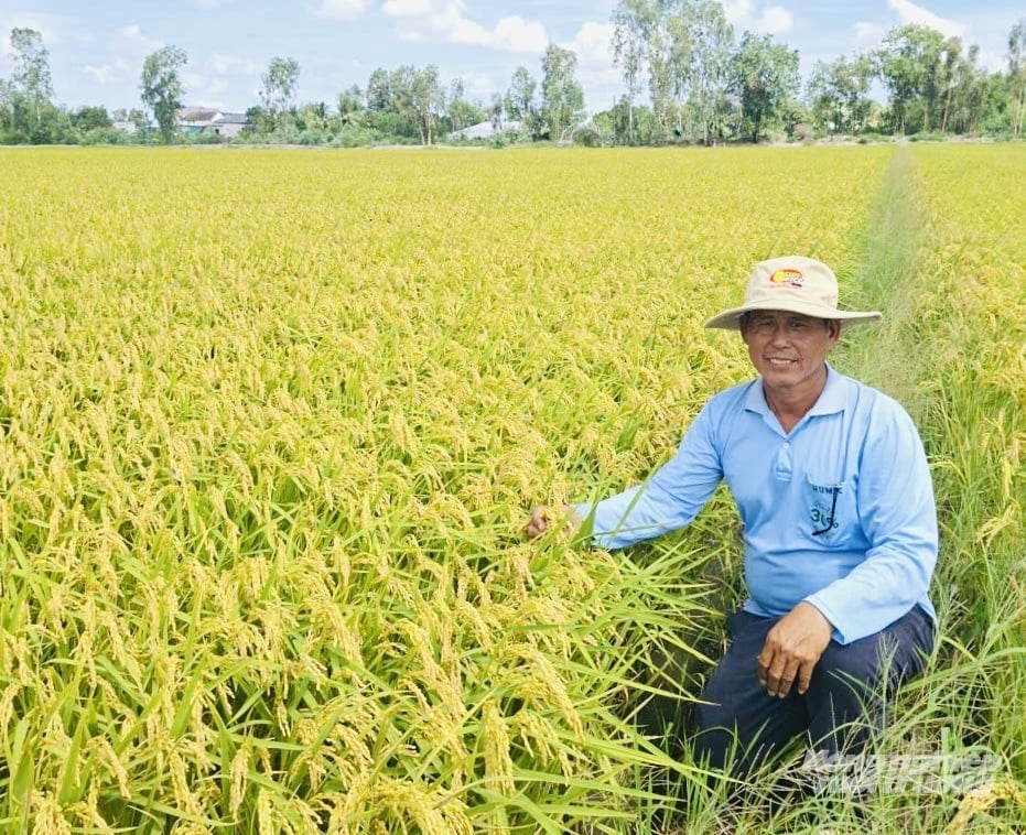 Ông Trình Thanh Danh - Chủ tịch Hội đồng quản trị HTX Nông nghiệp Hiệp Lợi cho biết nhờ áp dụng khoa học kỹ thuật, các thành viên HTX giảm được chi phí sản xuất, tăng lợi nhuận. Ảnh: Lê Hoàng Vũ.