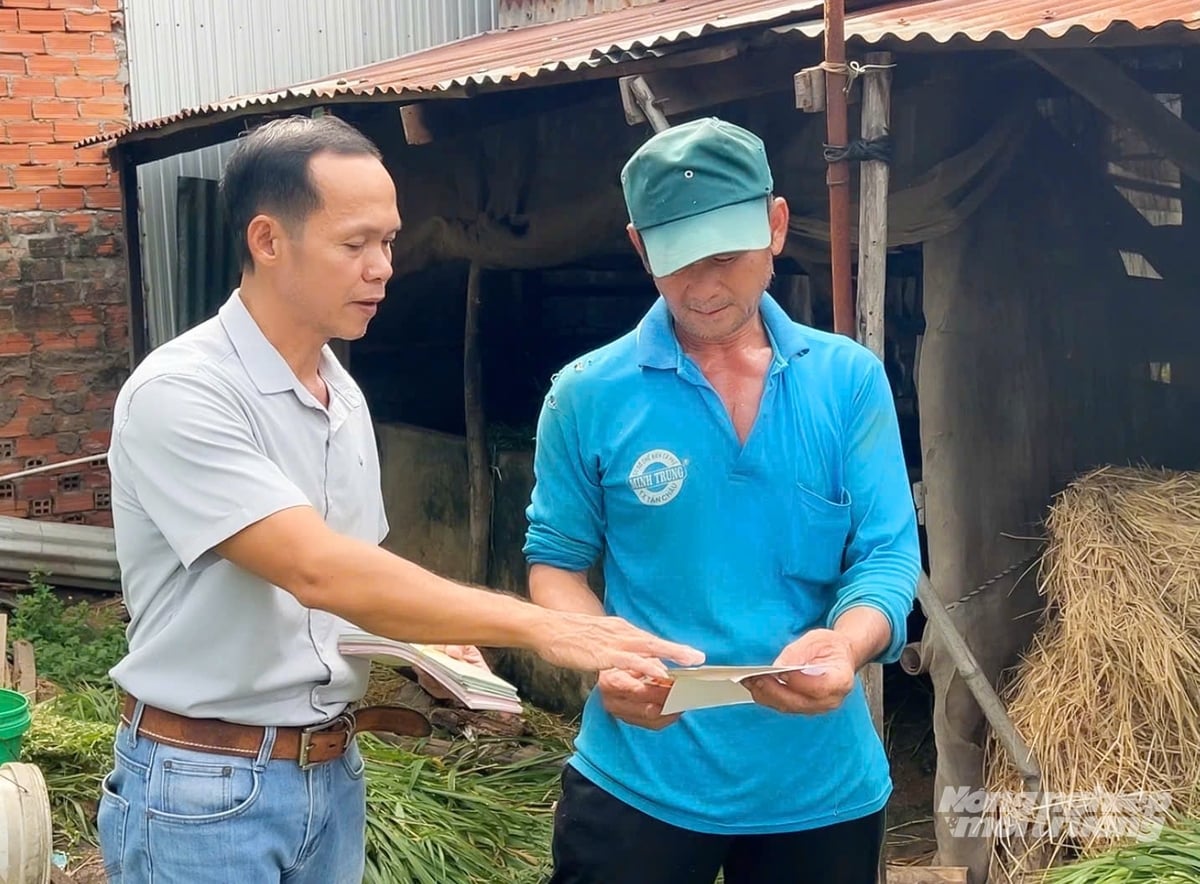 Anh Bình (trái) trực tiếp đến hộ chăn nuôi hướng dẫn kỹ thuật, tư vấn các biện pháp chăm sóc vật nuôi an toàn, hiệu quả. Ảnh: Lê Hoàng Vũ. Anh Bình (trái) trực tiếp đến hộ chăn nuôi hướng dẫn kỹ thuật, tư vấn các biện pháp chăm sóc vật nuôi an toàn, hiệu quả. Ảnh: Lê Hoàng Vũ.
