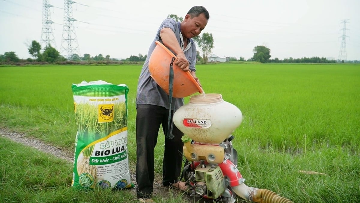 Ông Trầm Văn Thậm chuẩn bị bón phân Đầu Trâu Bio Lúa 1 cho ruộng lúa nếp IR4625 của gia đình. Ảnh: Ngọc Vân.