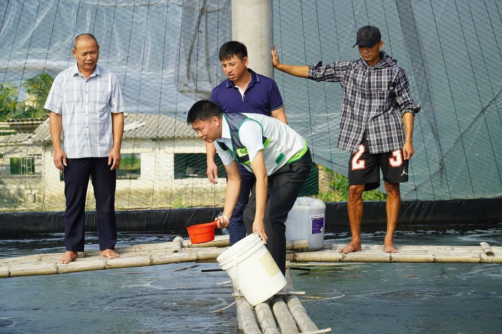 Mô hình nuôi tôm của ông Lê Văn Phương là một trong những điển hình ứng dụng công nghệ cao hiệu quả tại địa phương, không chỉ nâng cao năng suất mà còn giảm tác động đến môi trường và phát triển bền vững. Ảnh: Thu Thủy. Mô hình nuôi tôm của ông Lê Văn Phương là một trong những điển hình ứng dụng công nghệ cao hiệu quả tại địa phương, không chỉ nâng cao năng suất mà còn giảm tác động đến môi trường và phát triển bền vững. Ảnh: Thu Thủy.