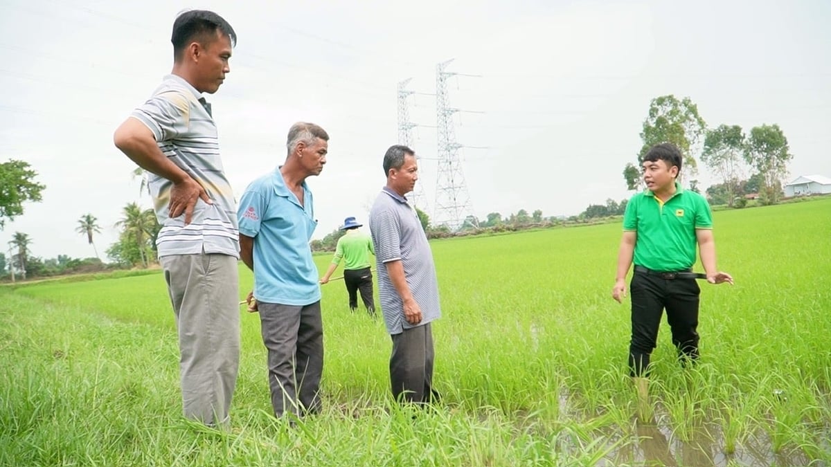 Cán bộ kỹ thuật Công ty Cổ phần Phân bón Bình Điền trao đổi với nông dân về hiệu quả mô hình 'Hành trình Xanh - Đất khỏe, cây trồng khỏe'. Ảnh: Ngọc Vân.
