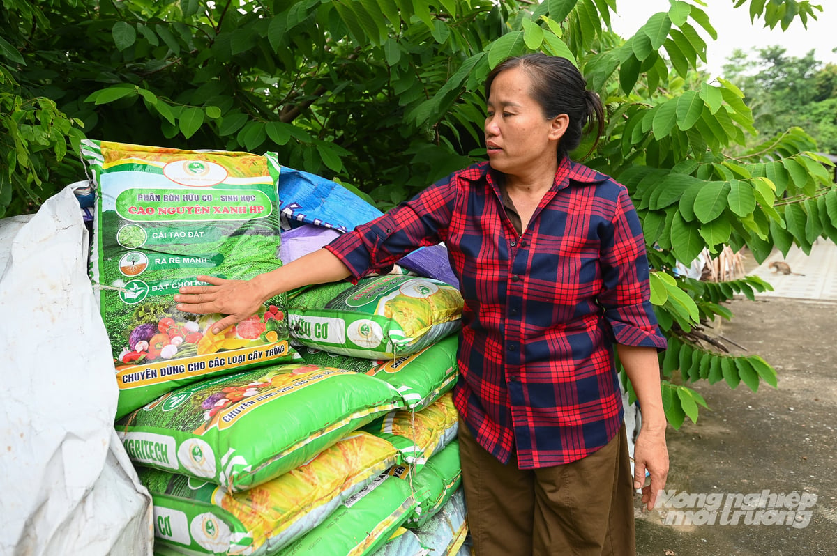Gia đình chị Hiền và tổ hợp tác sử dụng hoàn toàn phân bón hữu cơ Quế Lâm trong quá trình canh tác bây ba kích. Ảnh: Tùng Đinh.