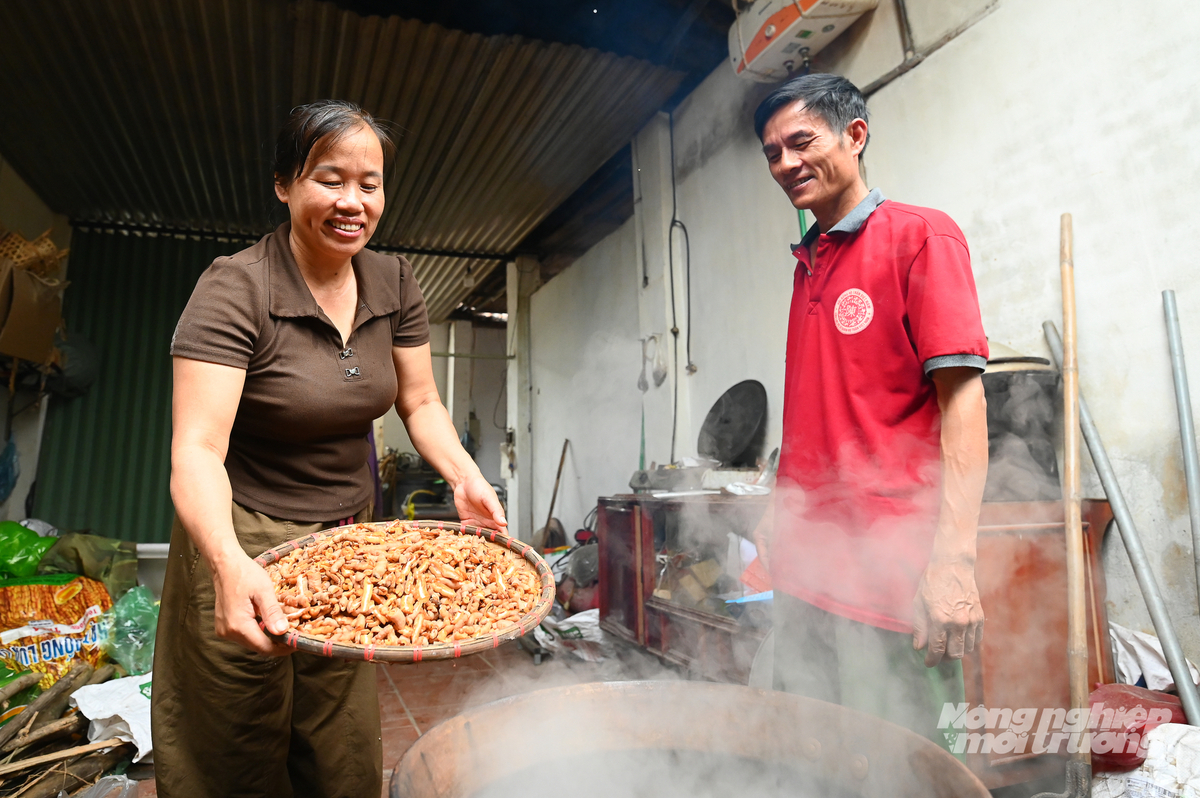 Ba kích nấu cao phải là loại đã bóc lõi. Ảnh: Tùng Đinh.