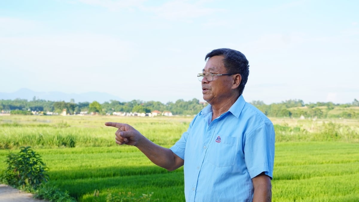 Dù đã nghỉ hưu, ông Ngãi vẫn thường xuyên thăm đồng để kịp thời khuyến cáo bà con. Ảnh: Minh Toàn.