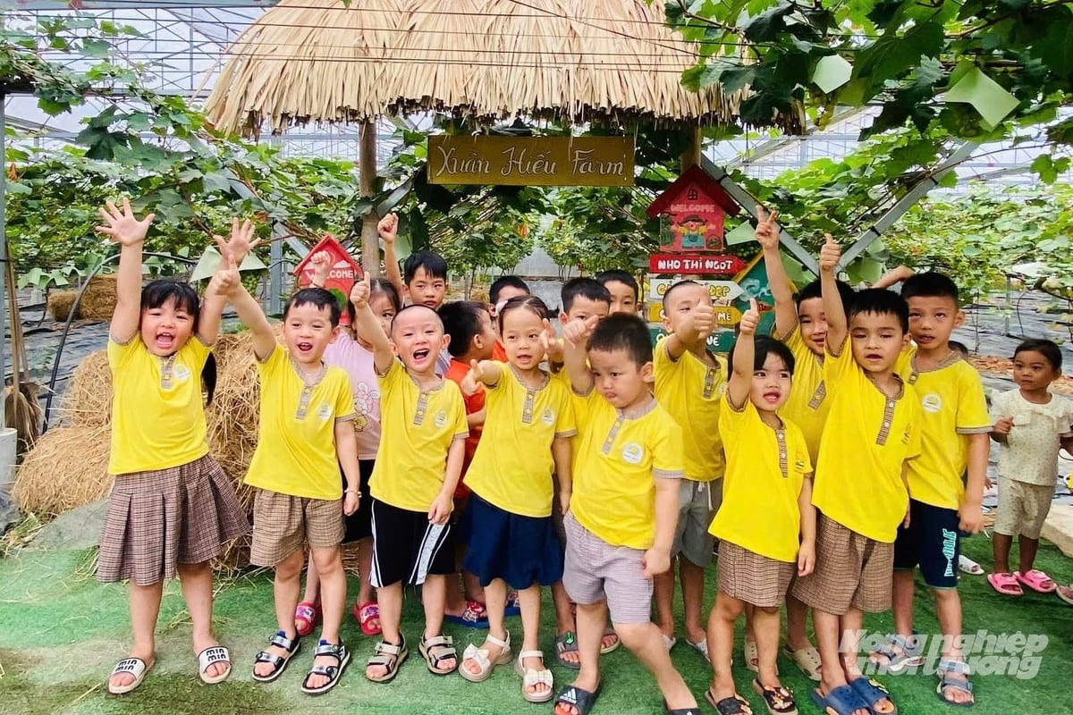 Mô hình trồng nho sữa của Xuân Hiếu Farm đang trở thành điểm trải nghiệm lý tưởng cho các em học sinh tại các trường mầm non, tiểu học trên địa bàn tỉnh. Ảnh: Trung Quân.