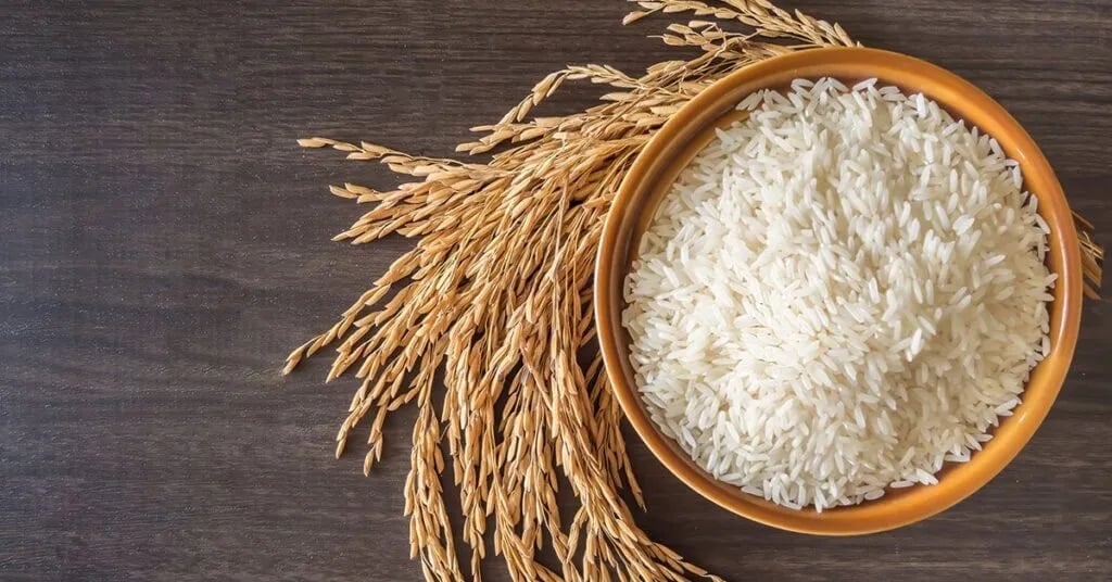Cập nhật giá lúa gạo hôm nay 28/9/2026 mới nhất