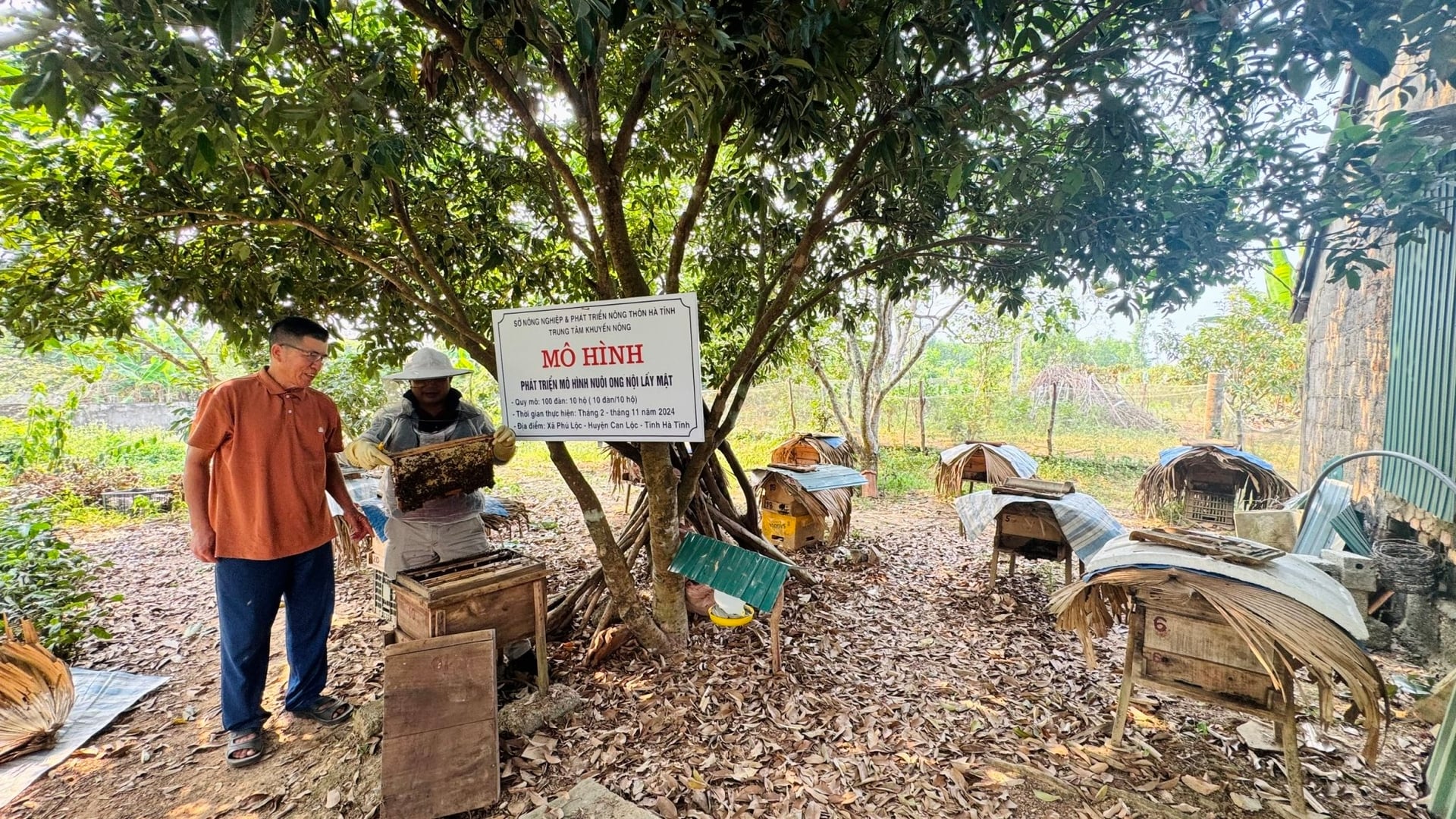 Cán bộ kỹ thuật Trung tâm Khuyến nông Hà Tĩnh hướng dẫn kỹ thuật nuôi ong nội cho người dân. Ảnh: Ánh Nguyệt.