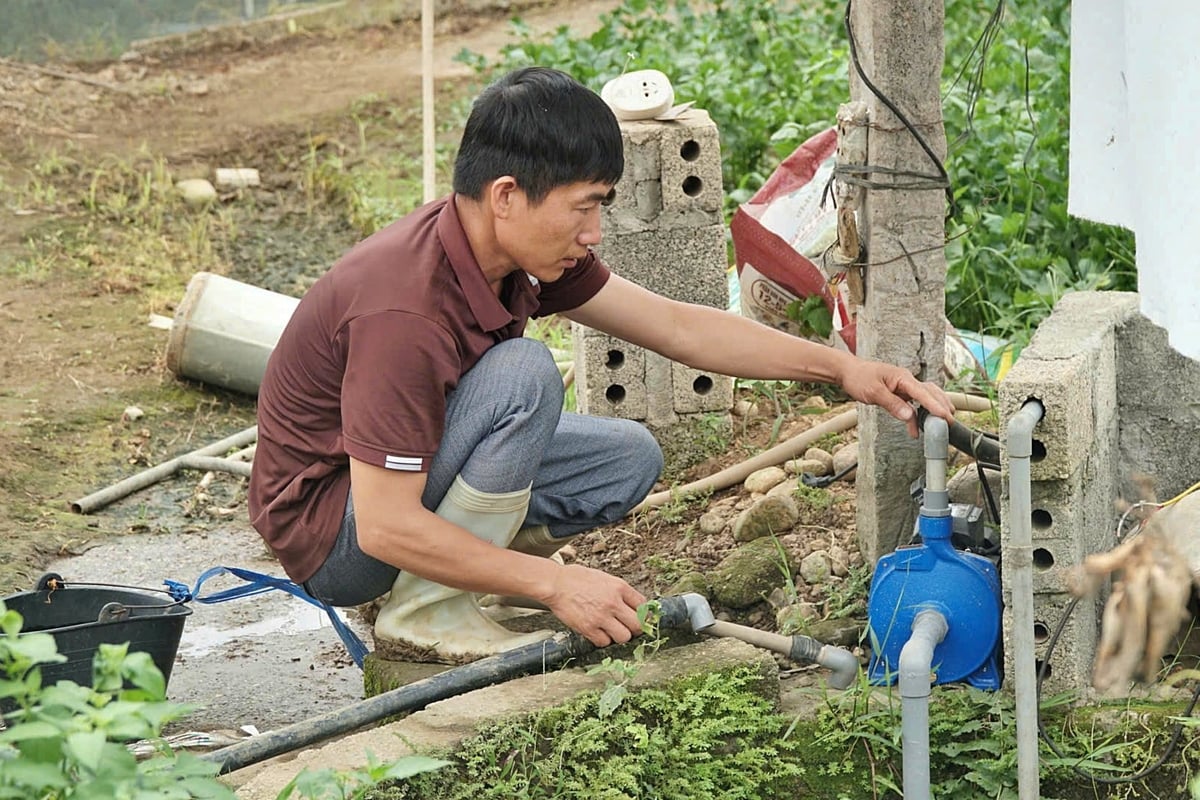 Chỉ sau vài vụ rau, anh Vượng đã trả hết vốn vay sản xuất. Ảnh: Đức Bình. Chỉ sau vài vụ rau, anh Vượng đã trả hết vốn vay sản xuất. Ảnh: Đức Bình.