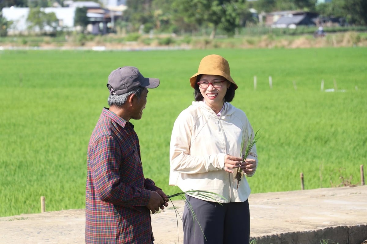 Gần 20 năm làm khuyến nông, chị Lê Thị Hồng Phước luôn bám ruộng, bám dân để hỗ trợ sản xuất, được bà con tin yêu. Ảnh: L.A.