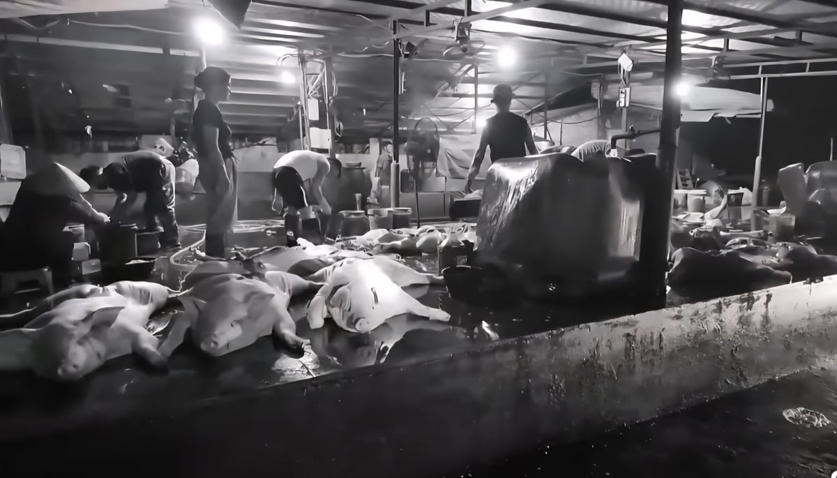 Bên trong lò mổ 'chui' tại phường Việt Hưng. Ảnh: Công an tỉnh Quảng Ninh. Bên trong lò mổ 'chui' tại phường Việt Hưng. Ảnh: Công an tỉnh Quảng Ninh.