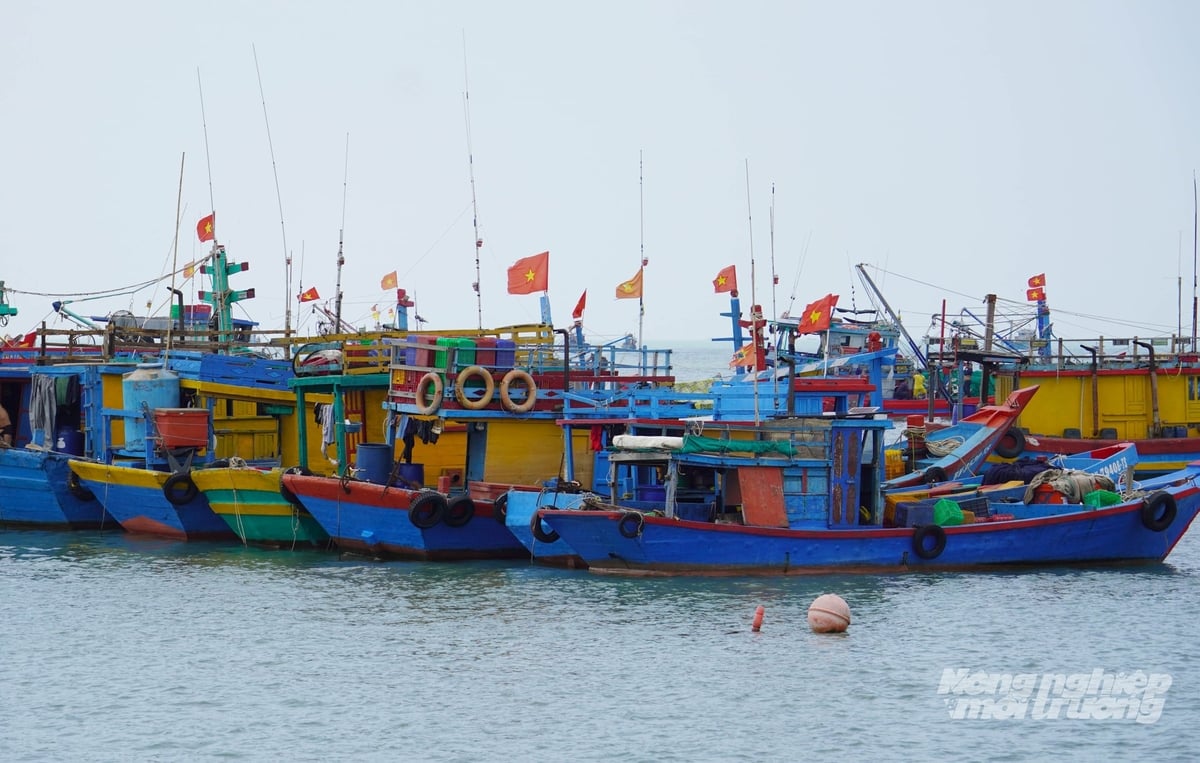 Tàu cá hoạt động tại cảng cá TP.HCM. Thành phố dự kiến chi 50 tỷ đồng hỗ trợ ngư dân thay thế thiết bị giám sát hành trình và thúc đẩy số hóa nghề cá. Ảnh: Lê Bình.