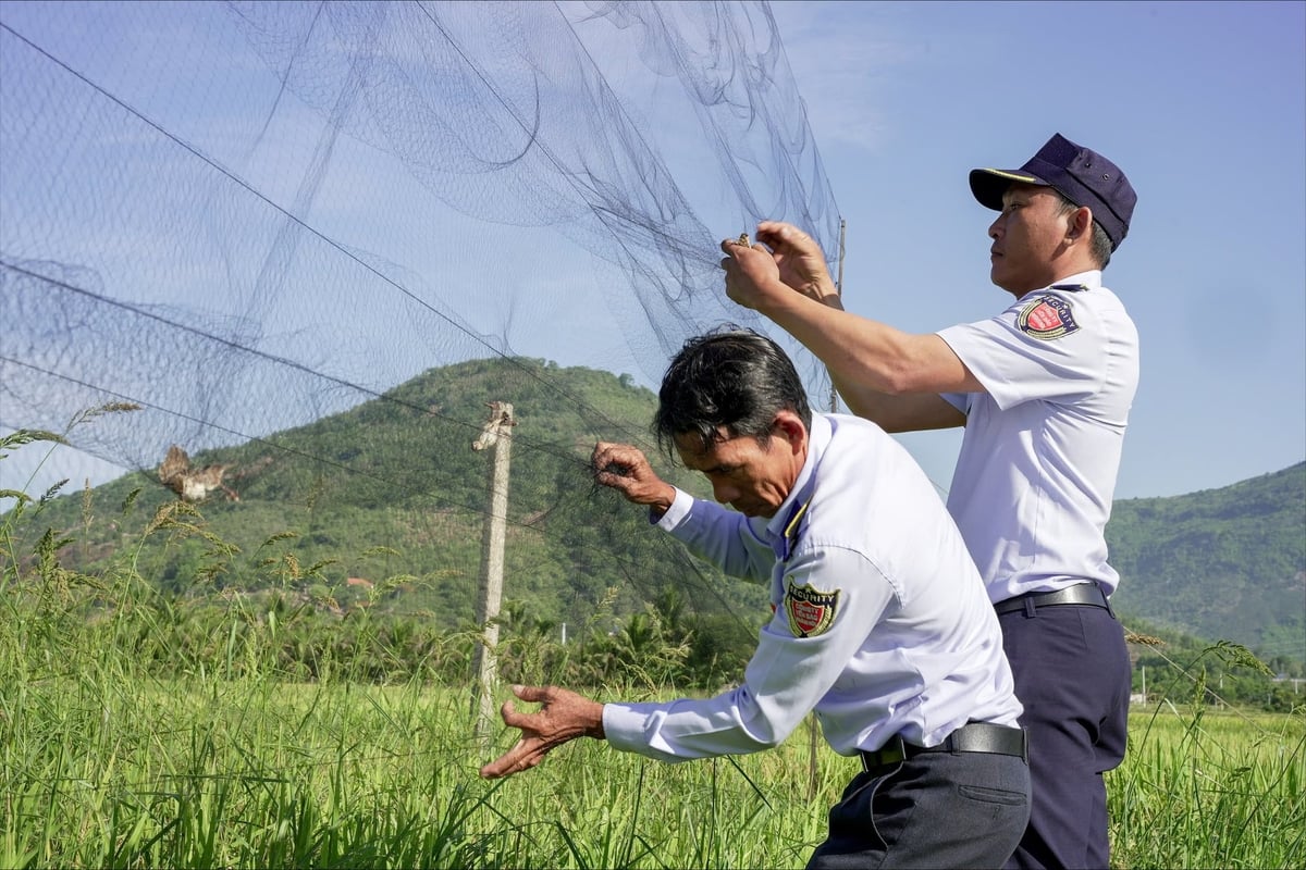 Nạn săn bắt chim yến ngày càng diễn biến phức tạp. Ảnh: YSKH. Nạn săn bắt chim yến ngày càng diễn biến phức tạp. Ảnh: YSKH.