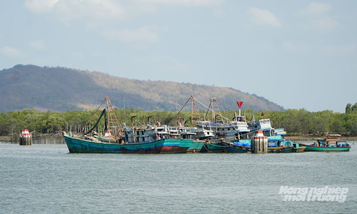 Đặc thù nhiều cửa sông, bãi ngang và luồng lạch ven biển khiến công tác kiểm soát tàu cá của TP.HCM gặp nhiều thách thức. Ảnh: Lê Bình.