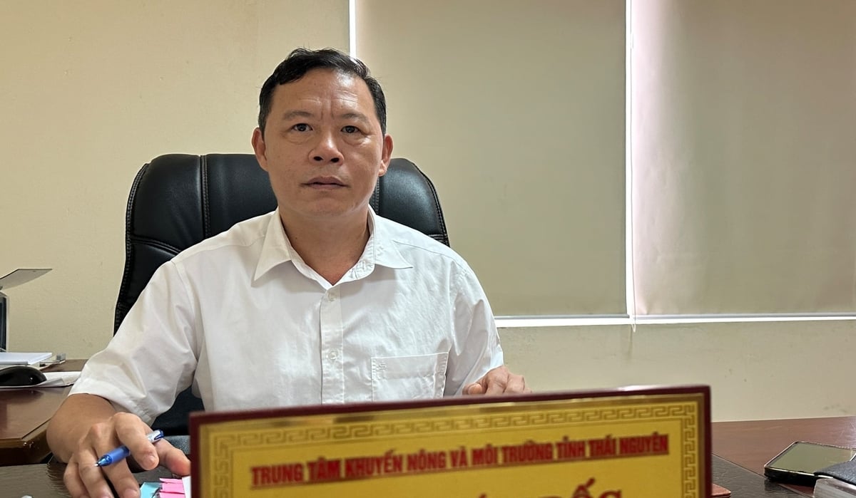 Ông Nguyễn Đình Thông, Phó Giám đốc Trung tâm Khuyến nông và Môi trường Thái Nguyên. Ảnh: Quang Linh.