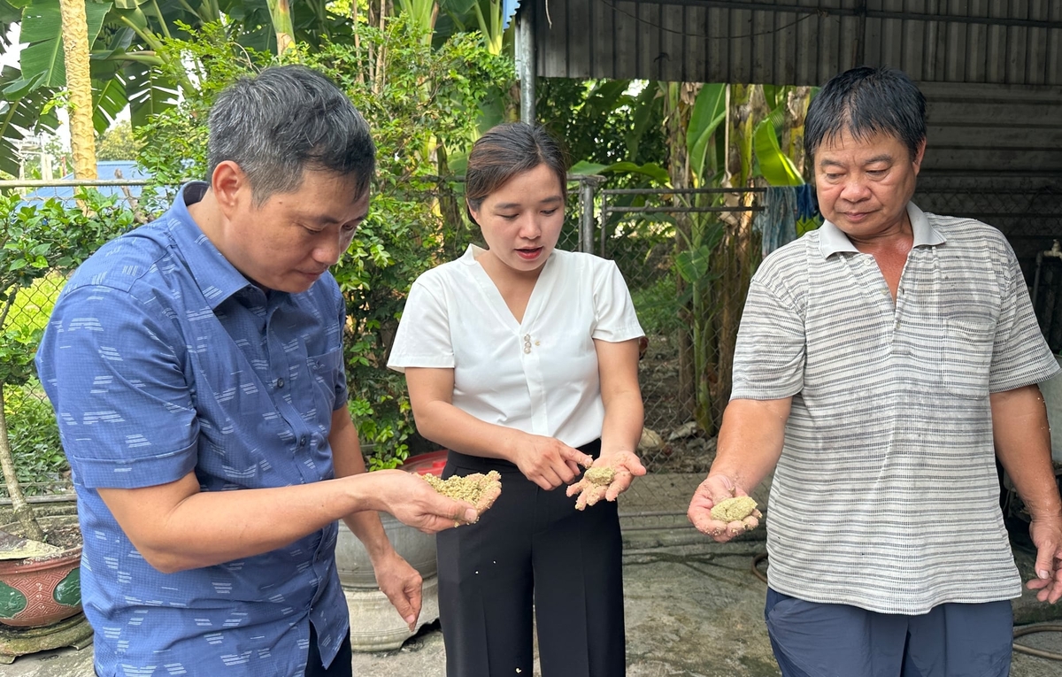 Chị Nguyễn Thị Liễu (giữa) hướng dẫn người dân phối trộn thức ăn chăn nuôi có bổ sung bột trà xanh. Ảnh: Quang Linh.