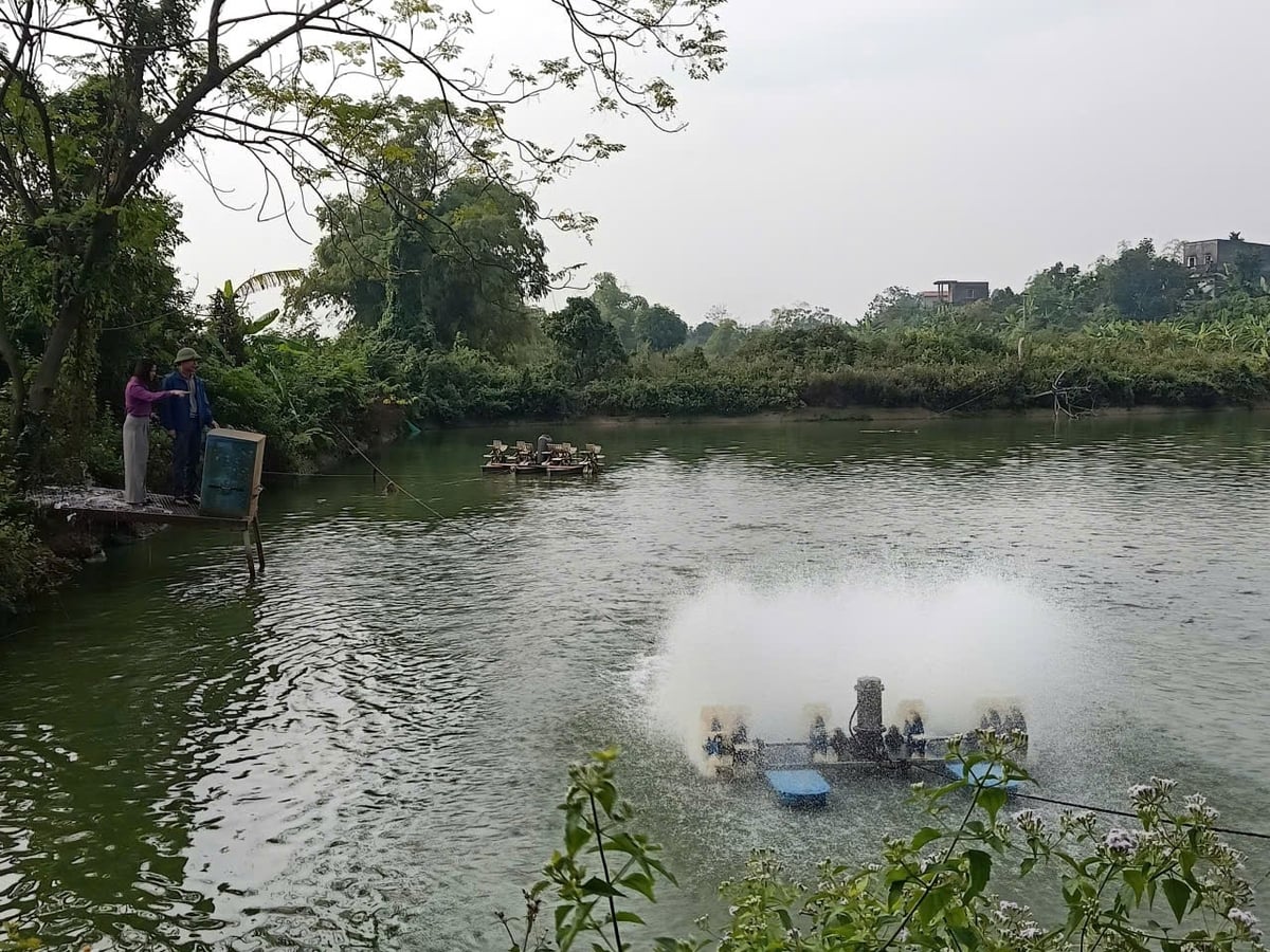 Hệ thống quạt nước, máy cho ăn tự động được điều khiển hợp lý, cá được cung cấp oxy, thức ăn đúng nhu cầu, môi trường ao nuôi ổn định hơn. Ảnh: Phạm Minh.