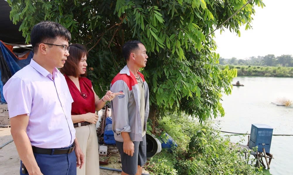 Lãnh đạo Trung tâm Khuyến nông tỉnh Bắc Ninh tham quan mô hình ứng dụng công nghệ số vào nuôi thâm canh cá trắm cỏ của gia đình ông Trần Văn Tình. Ảnh: Phạm Minh.