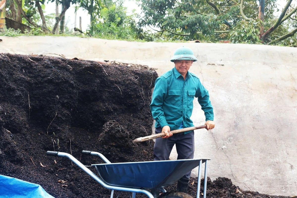 Từ các phụ phẩm nông nghiệp, ông Thiếm ủ thành phân hữu cơ để bón cho cây trồng. Ảnh: L.K.