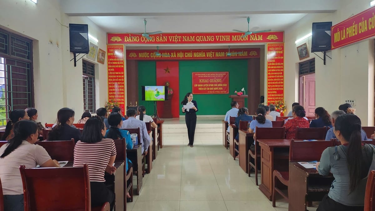 Mỗi lớp học IPHM có 30 học viên tham gia. Ảnh: Nguyễn Thành.