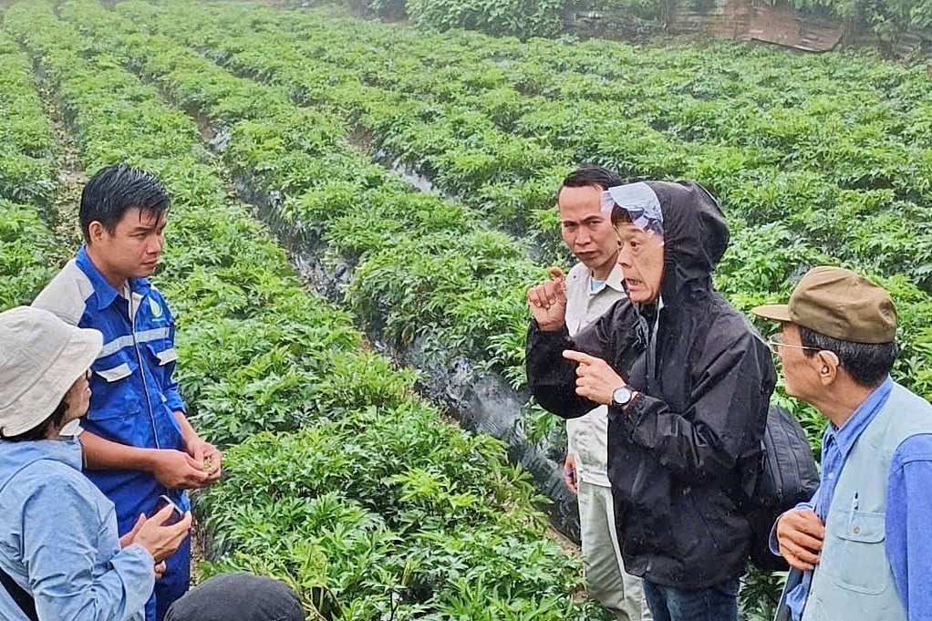 Người dân tham quan mô hình liên kết sản xuất cây dược liệu của HTX Mý Dao. Ảnh: Đức Bình.