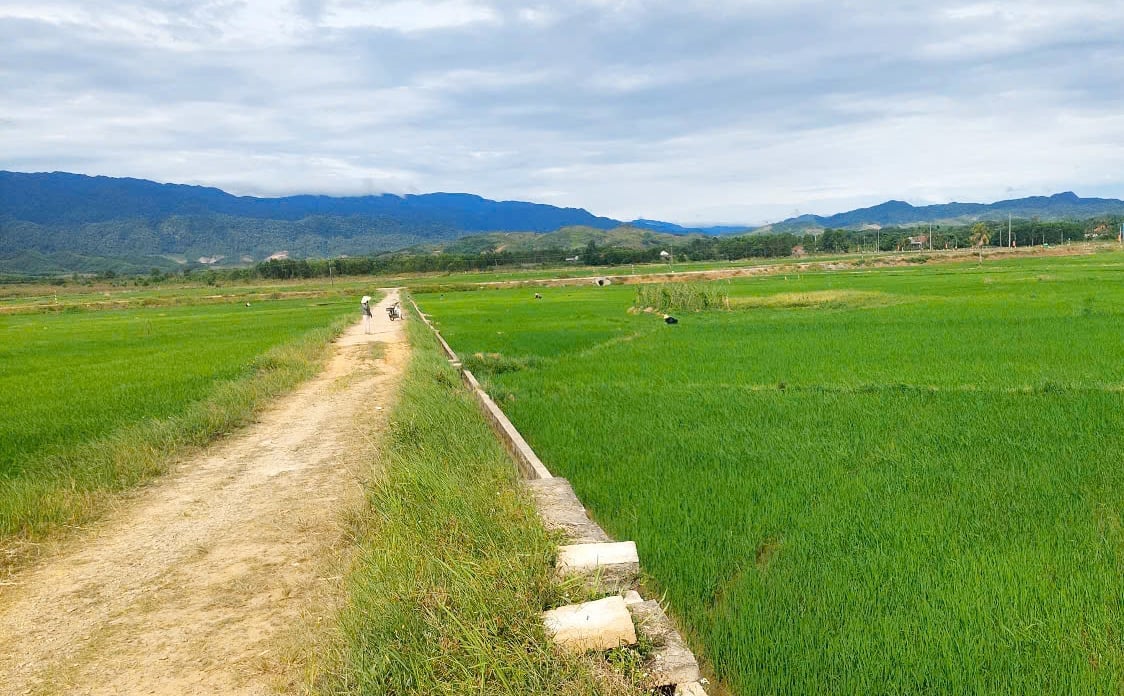 Nắng nóng kéo dài khiến mực nước trên các tuyến kênh nội đồng vùng cao A Lưới giảm, việc lấy nước tưới gặp nhiều khó khăn. Ảnh: Văn Dinh.