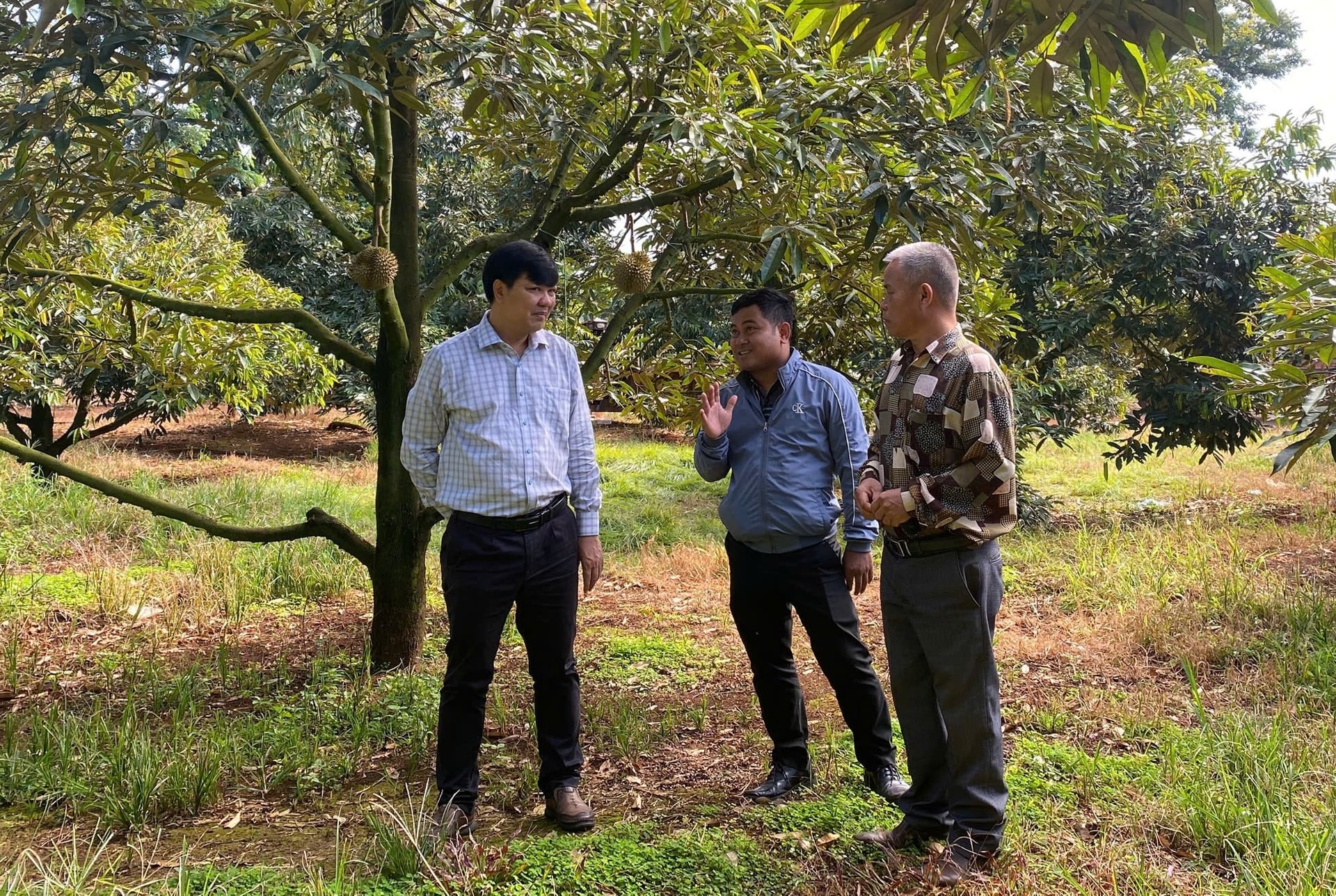 Ông Lương Anh Tuấn, Giám đốc Trung tâm Trồng trọt và Bảo vệ thực vật miền Trung (bên trái) kiểm tra thực tế tình hình sản xuất trồng trọt và diễn biến sinh vật gây hại trên địa bàn tỉnh Đắk Lắk. Ảnh: Trung tâm Trồng trọt và Bảo vệ thực vật miền Trung.