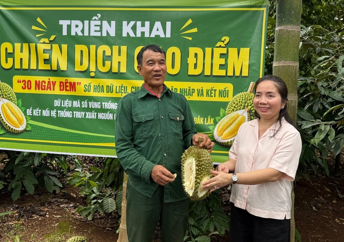 Ông Nguyễn Văn Châu, trú thôn 1, xã Ea Ktur, tỉnh Đắk Lắk tỏ ra hết sức vui mừng khi nghe thông tin từ bà Đặng Thị Thuỷ, Phó Giám đốc Sở NN&MT Đắk Lắk về chiến dịch 30 ngày hỗ trợ cấp mã vùng trồng. Ảnh: Phạm Hoài.