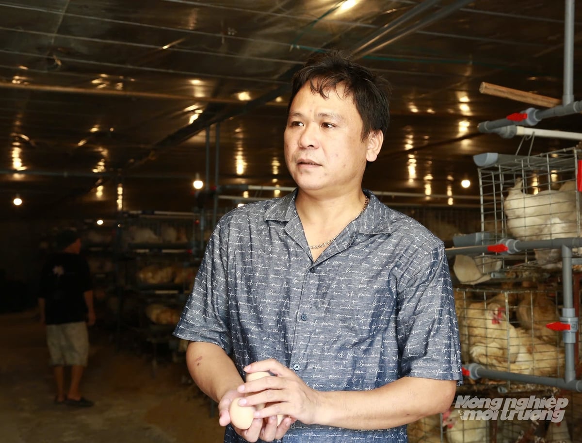 Anh Trần Tùng Lâm, Giám đốc HTX Nông nghiệp sạch Lâm Thảo chia sẻ với phóng viên Báo Nông nghiệp và Môi trường về những ngày đầu gây dựng trang trại. Ảnh: Thanh Tiến.