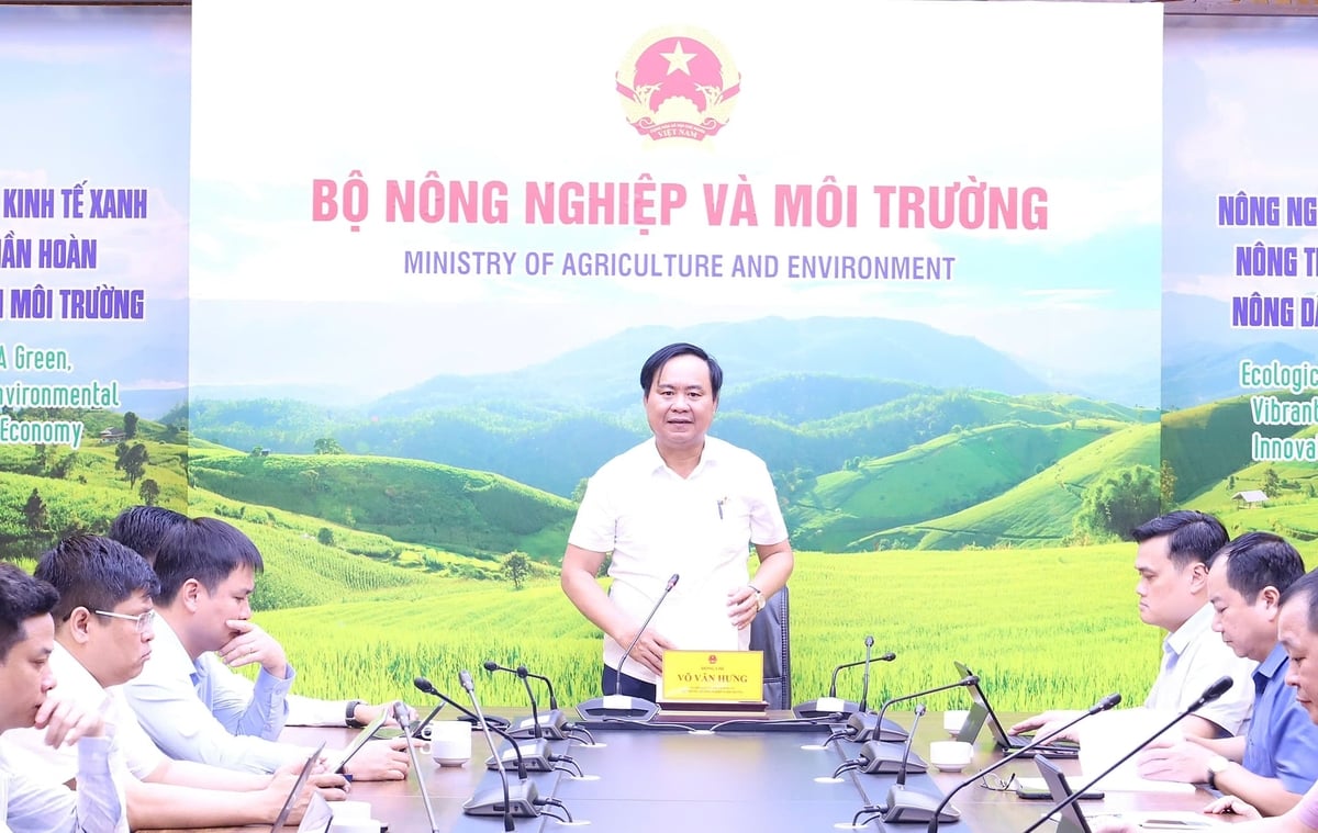Thứ trưởng Bộ Nông nghiệp và Môi trường Võ Văn Hưng phát biểu chỉ đạo cuộc họp. Ảnh: Hồng Ngọc.