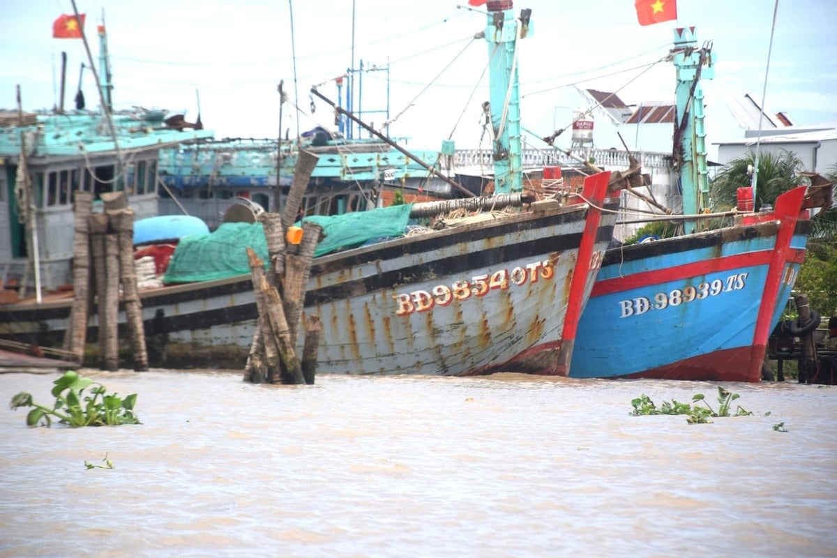 Hiện Gia Lai đã kiểm soát được nhóm tàu cá thường xuyên hoạt động tại ngư trường các tỉnh phía Nam. Ảnh: V.Đ.T.