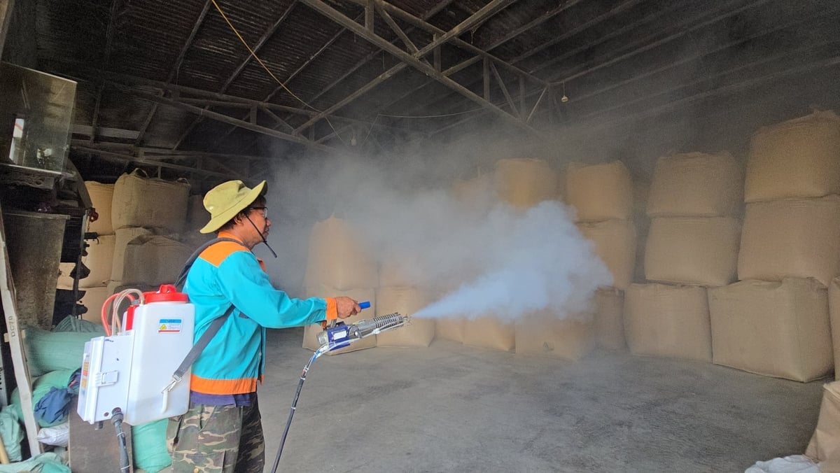 Kho chứa, bảo quản thóc sau vụ thu hoạch của anh Đỗ Văn Dân. Ảnh: Kiên Trung. Kho chứa, bảo quản thóc sau vụ thu hoạch của anh Đỗ Văn Dân. Ảnh: Kiên Trung.